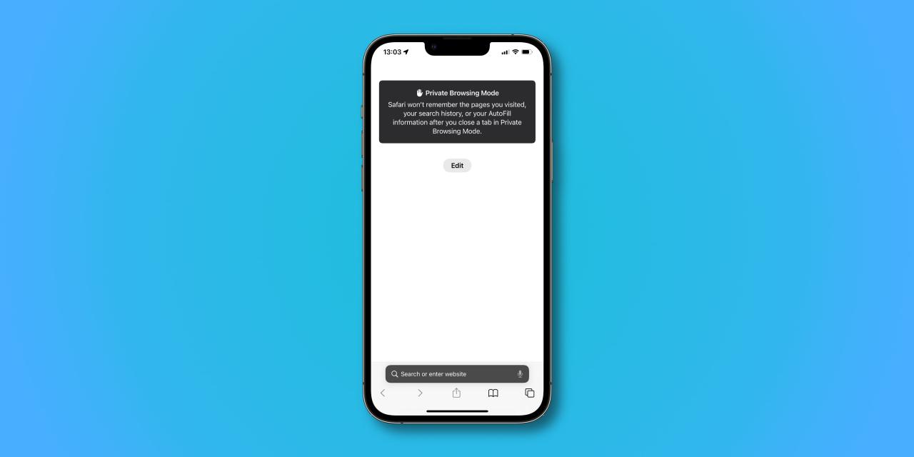 Una captura de pantalla que muestra un mensaje en modo privado en el navegador Safari de Apple en iOS 17 en iPhone