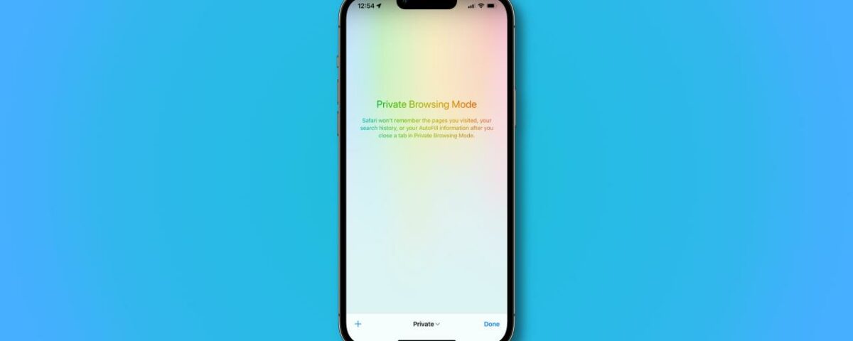 Una captura de pantalla que muestra el navegador Safari de Apple ejecutándose en modo privado en iOS 17 en iPhone