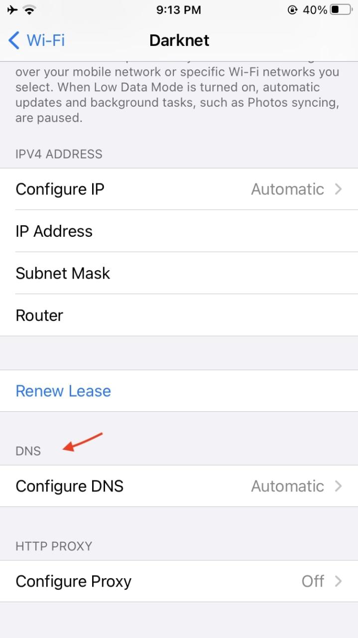 Ajustes DNS iPhone