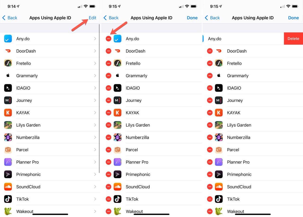 Editar aplicaciones usando Apple ID en iPhone