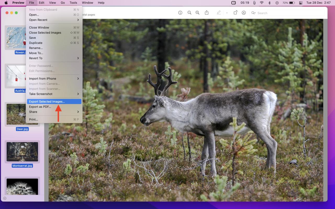 Exportar imágenes seleccionadas en vista previa en Mac