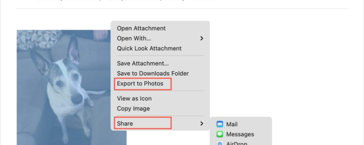 Exportar a Fotos desde Mail en Mac