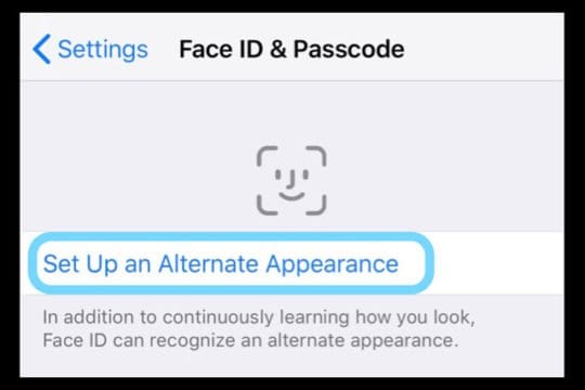 iOS 12 Fan ID Configurar Apariencia alternativa