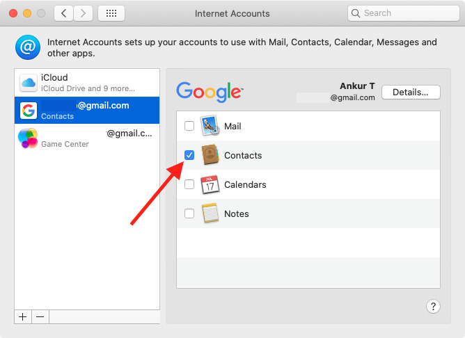 En la sección Cuentas de Internet de Mac, habilite Contactos de Google