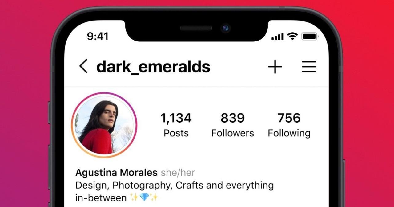 Una imagen que muestra los pronombres enumerados en el perfil de Instagram en iPhone