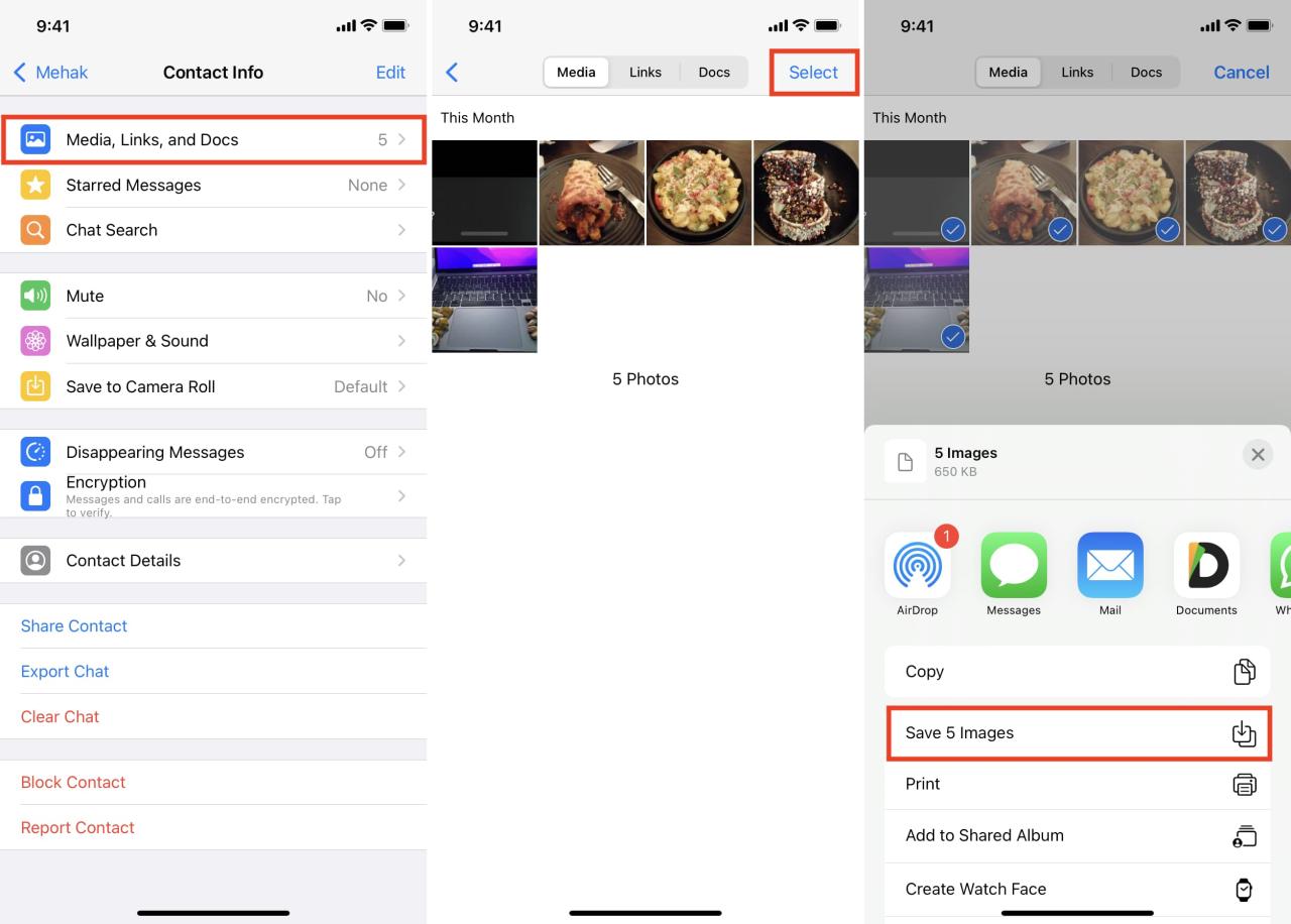 Guarde manualmente muchas imágenes de WhatsApp en la aplicación Fotos de iOS