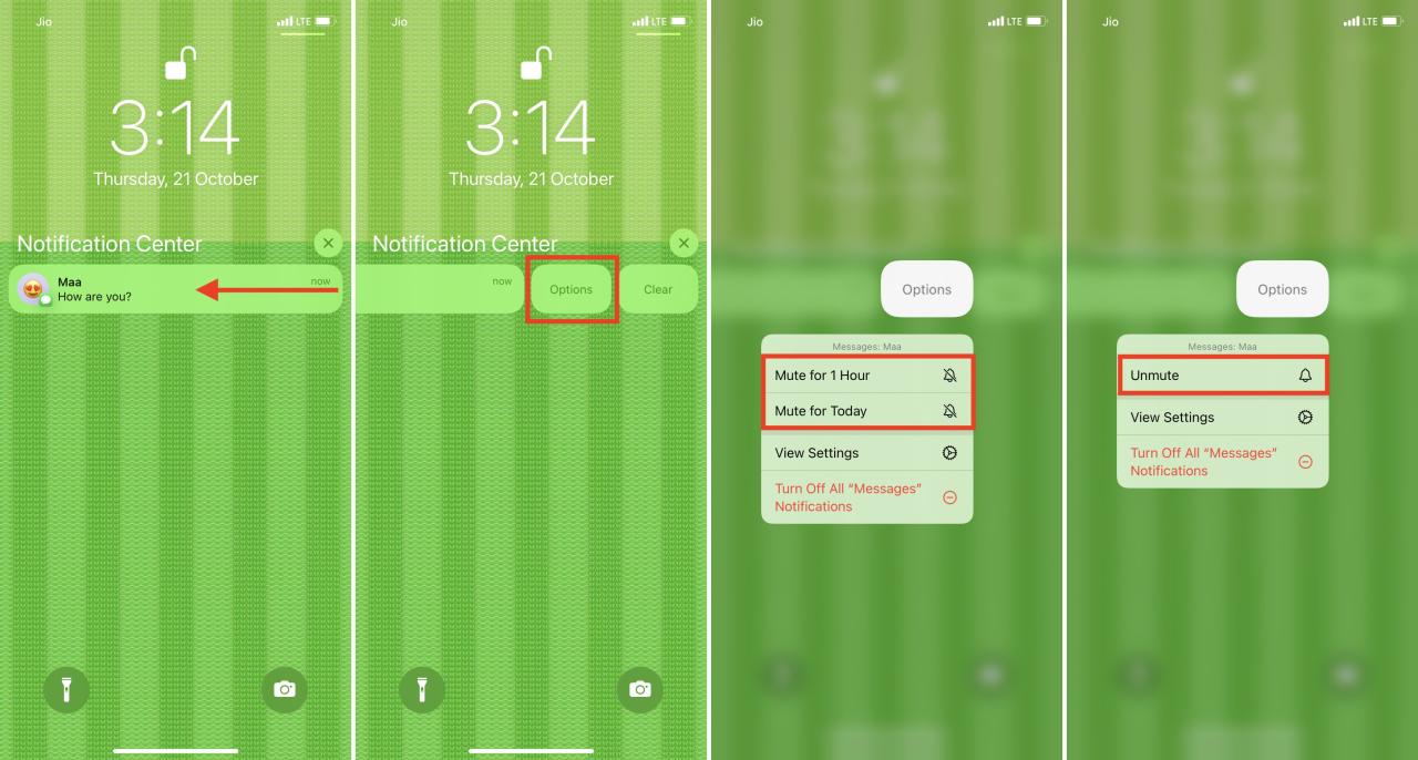 Silenciar una notificación de aplicación durante una hora o un día en iPhone en iOS 17
