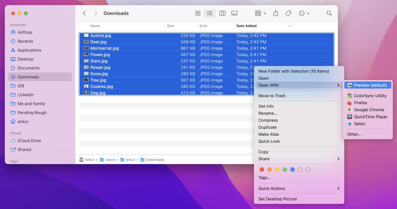 Abrir imágenes en Vista previa en Mac