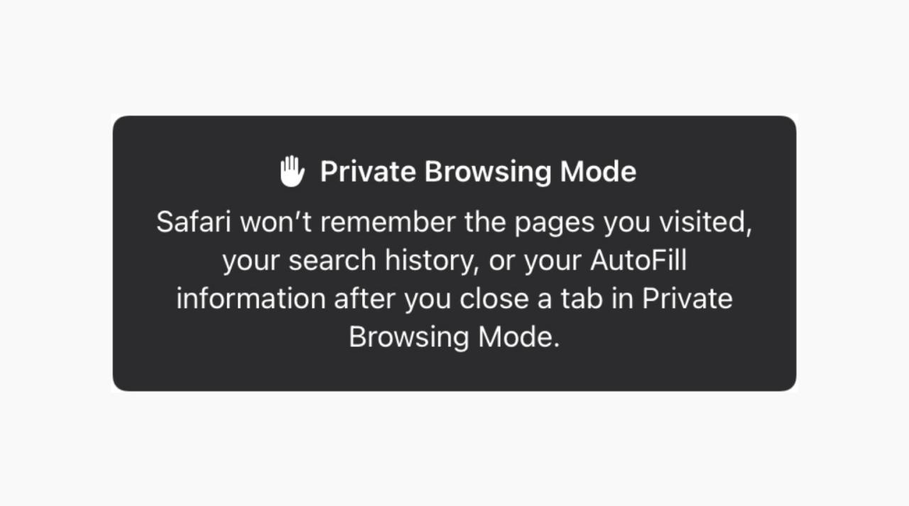 Maneras rápidas de abrir la pestaña Safari Private en iPhone en iOS 17