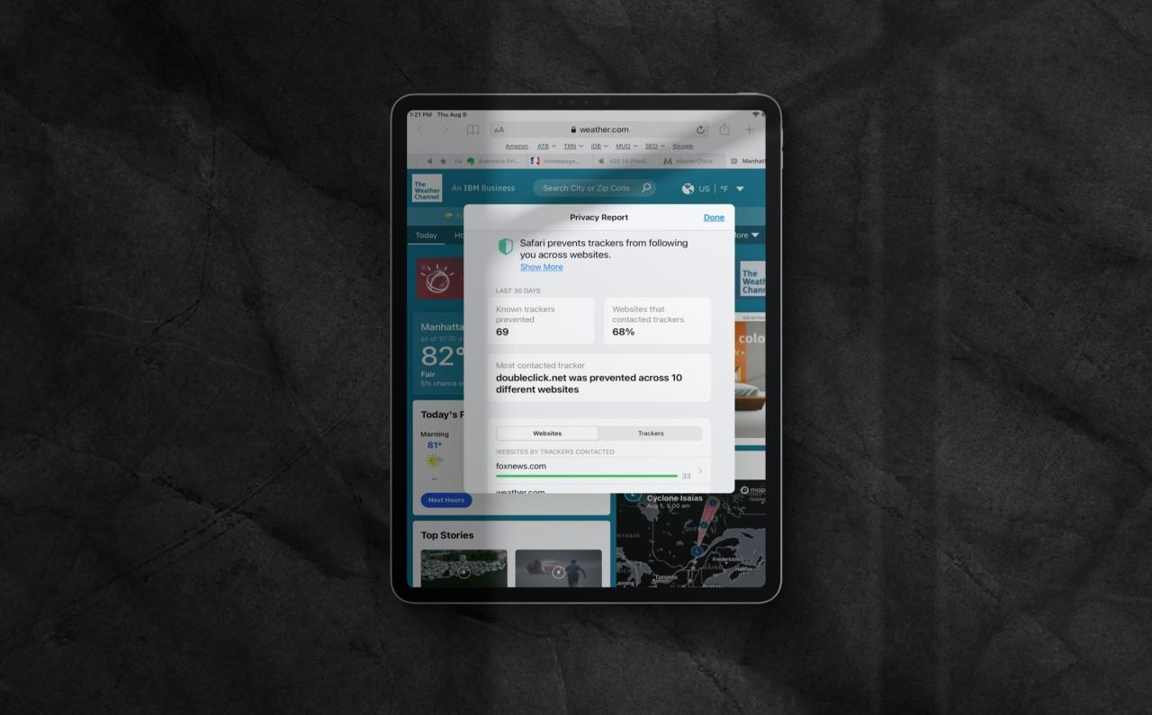 Informe de privacidad de Safari iPad