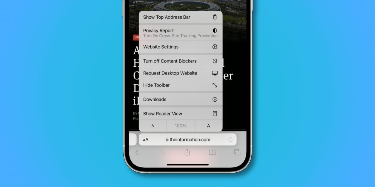 Captura de pantalla de iPhone que ilustra la barra de direcciones inferior con las opciones de menú "aA" en Safari en iOS 17