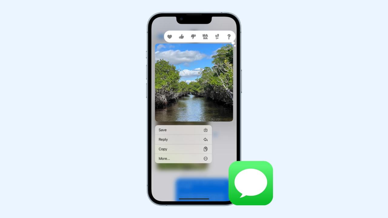 Guarda fotos de Mensajes en la aplicación Fotos de iOS