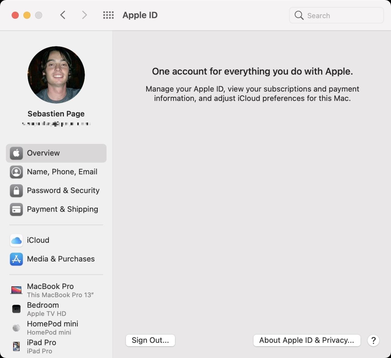 Cierre la sesión de su ID de Apple en las preferencias del sistema Mac