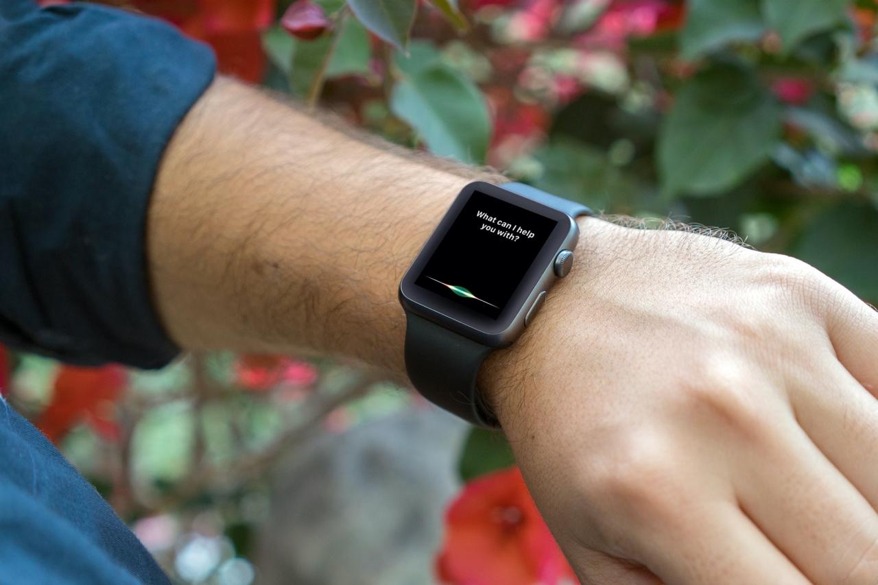 Pantalla Siri en Apple Watch Garden