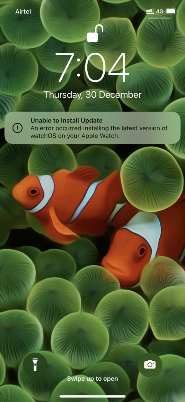 No se puede instalar la actualización en la notificación de Apple Watch