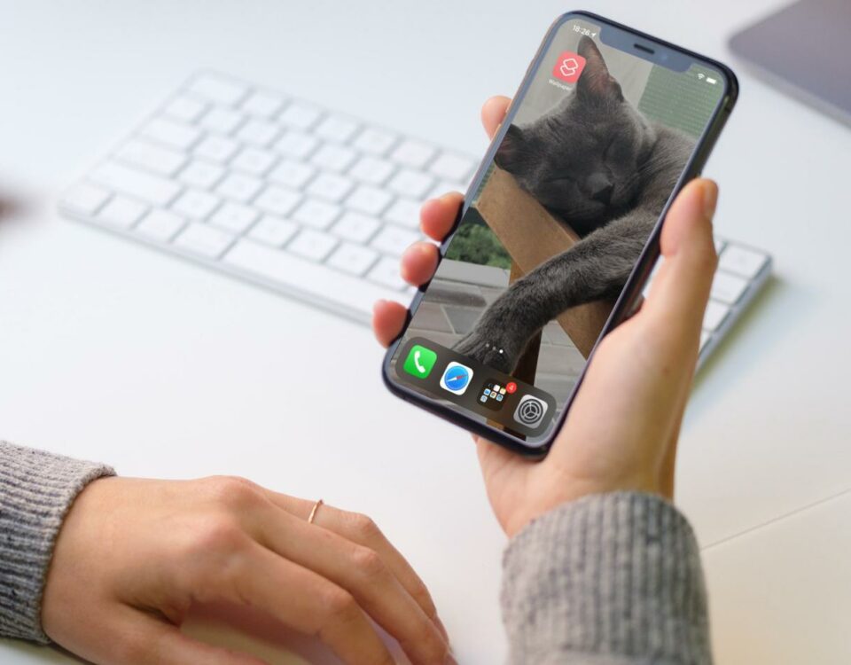 Cómo cambiar el fondo de pantalla del iPhone automáticamente - imagen de héroe