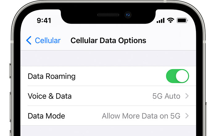 permitir más datos 5g iPhone: opciones de datos móviles 5G
