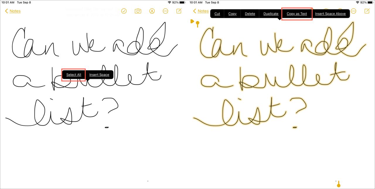 iPadOS 14 Notas Copiar como texto