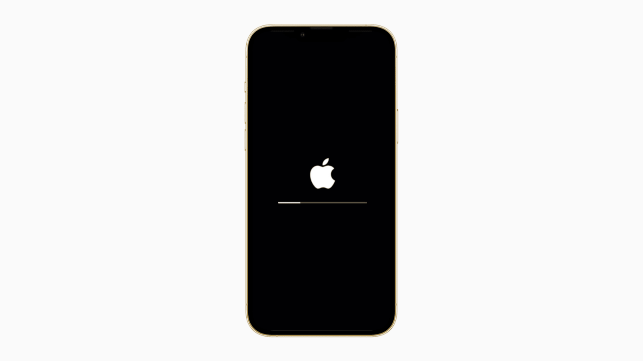 iPhone con logo blanco de Apple y barra de progreso mientras se borra