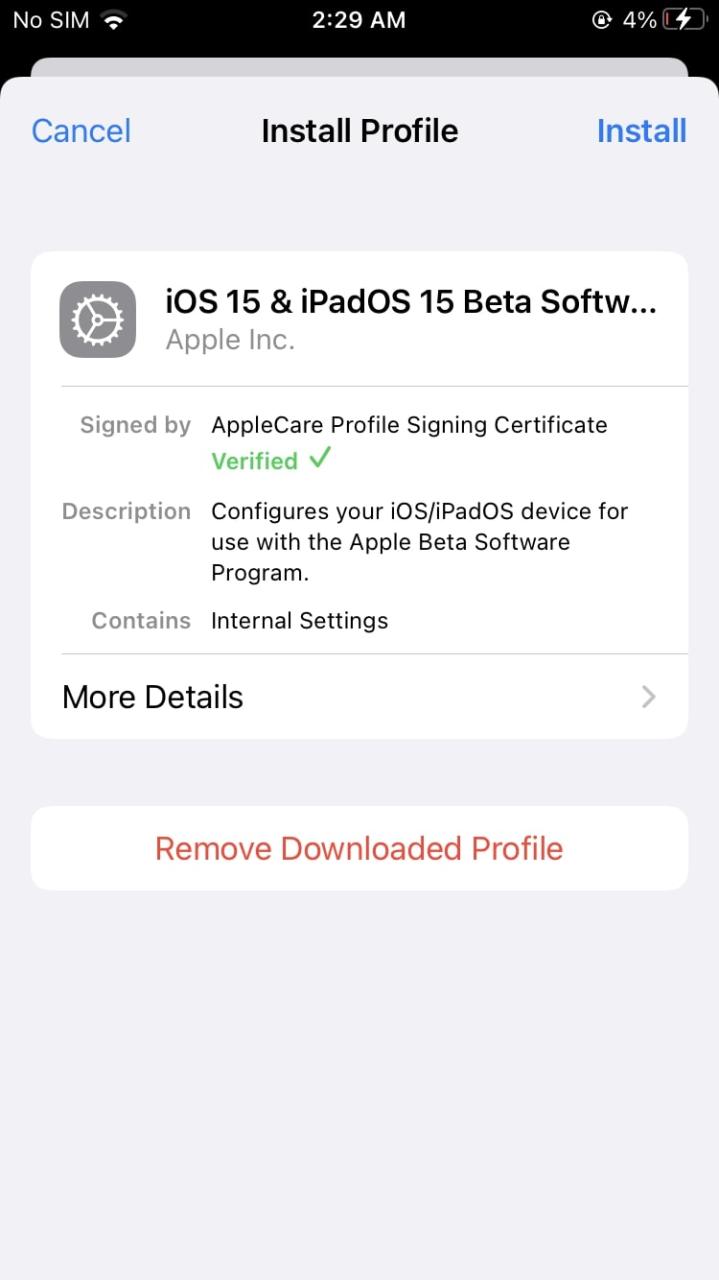 perfil beta público de iOS 17