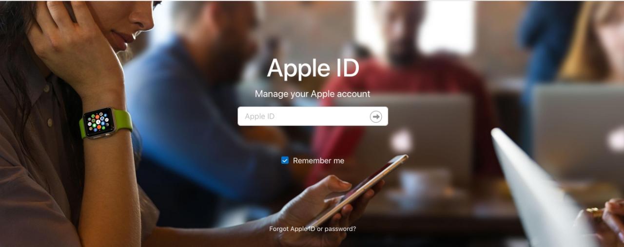 Identificación de Apple en línea
