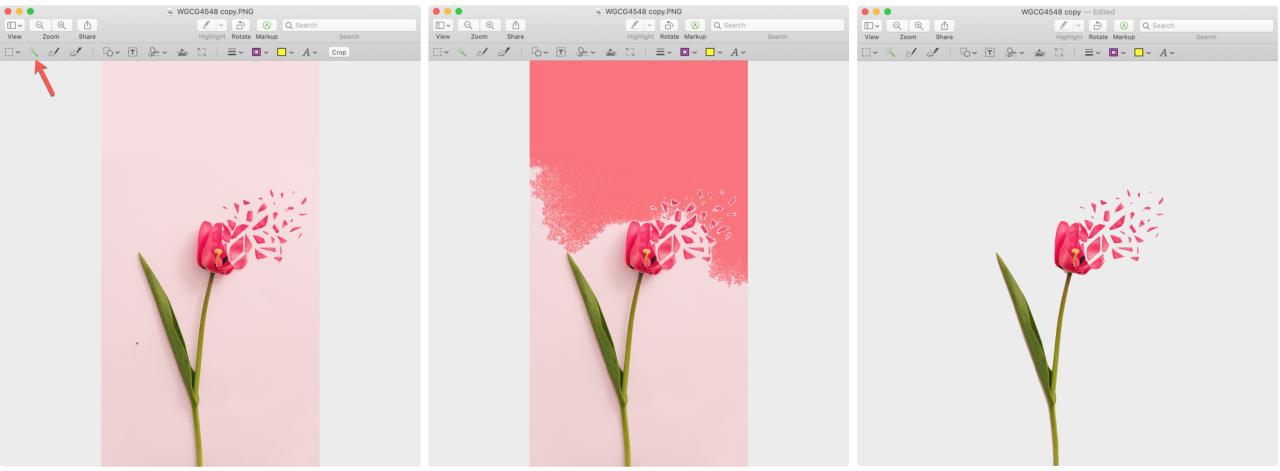 Vista previa Eliminar fondo en Mac