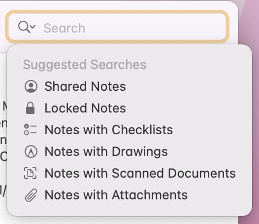 Barra de búsqueda en la aplicación Notas en Mac
