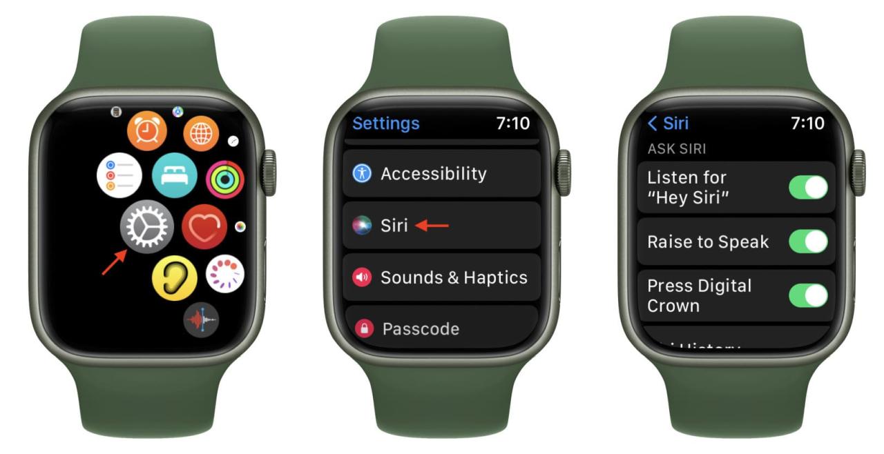 Ajustes de Siri Apple Watch