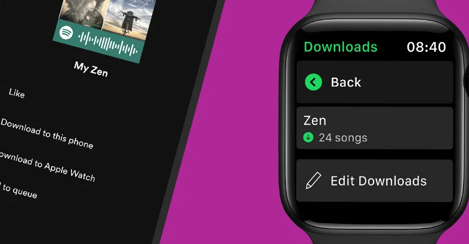 Spotify para apple discount watch