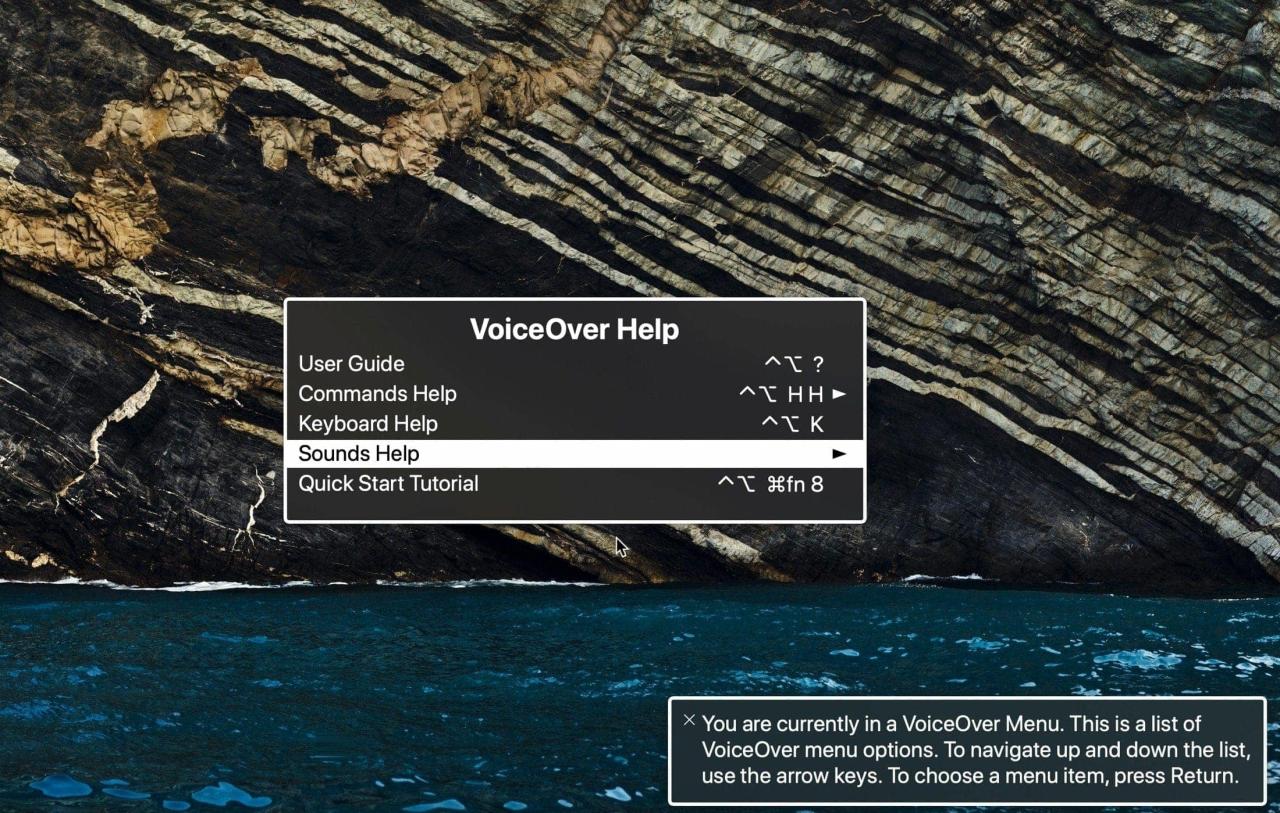 VoiceOver y menú de ayuda en Mac