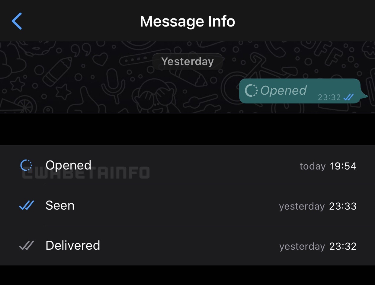 Una captura de pantalla que muestra el estado "Abierto" de un mensaje de visualización única de WhatsApp en iPhone