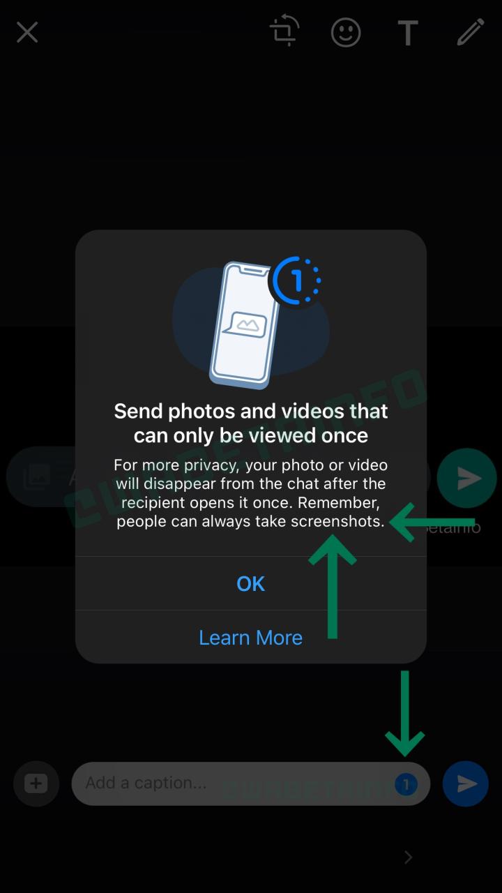 Una captura de pantalla que muestra una pantalla de inicio que anuncia el modo de visualización única de WhatsApp en iPhone