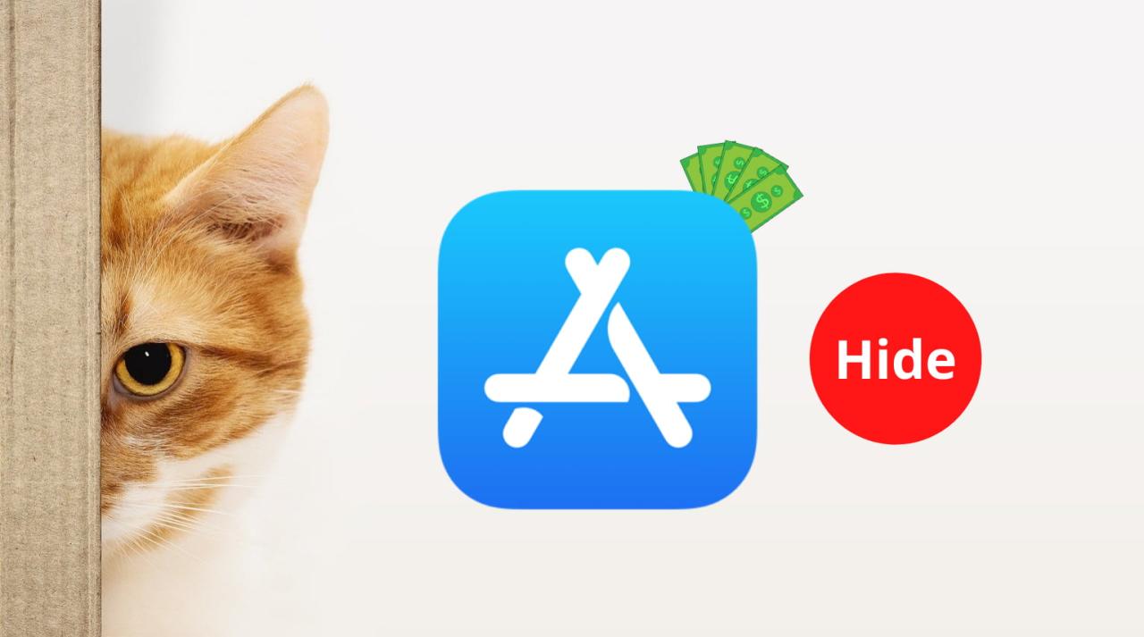 Ícono de App Store y un punto rojo con la palabra "Ocultar" y un gato escondido detrás de un cartón