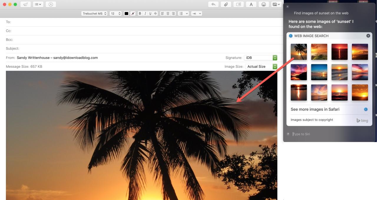 Arrastre los resultados de Siri para enviar un correo electrónico a Mac