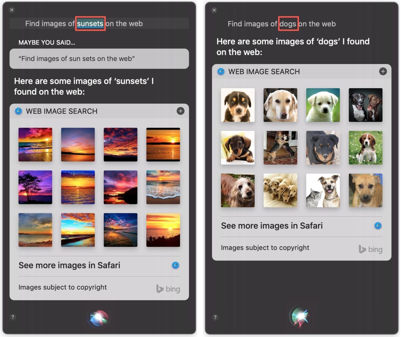Editar resultados de Siri Mac