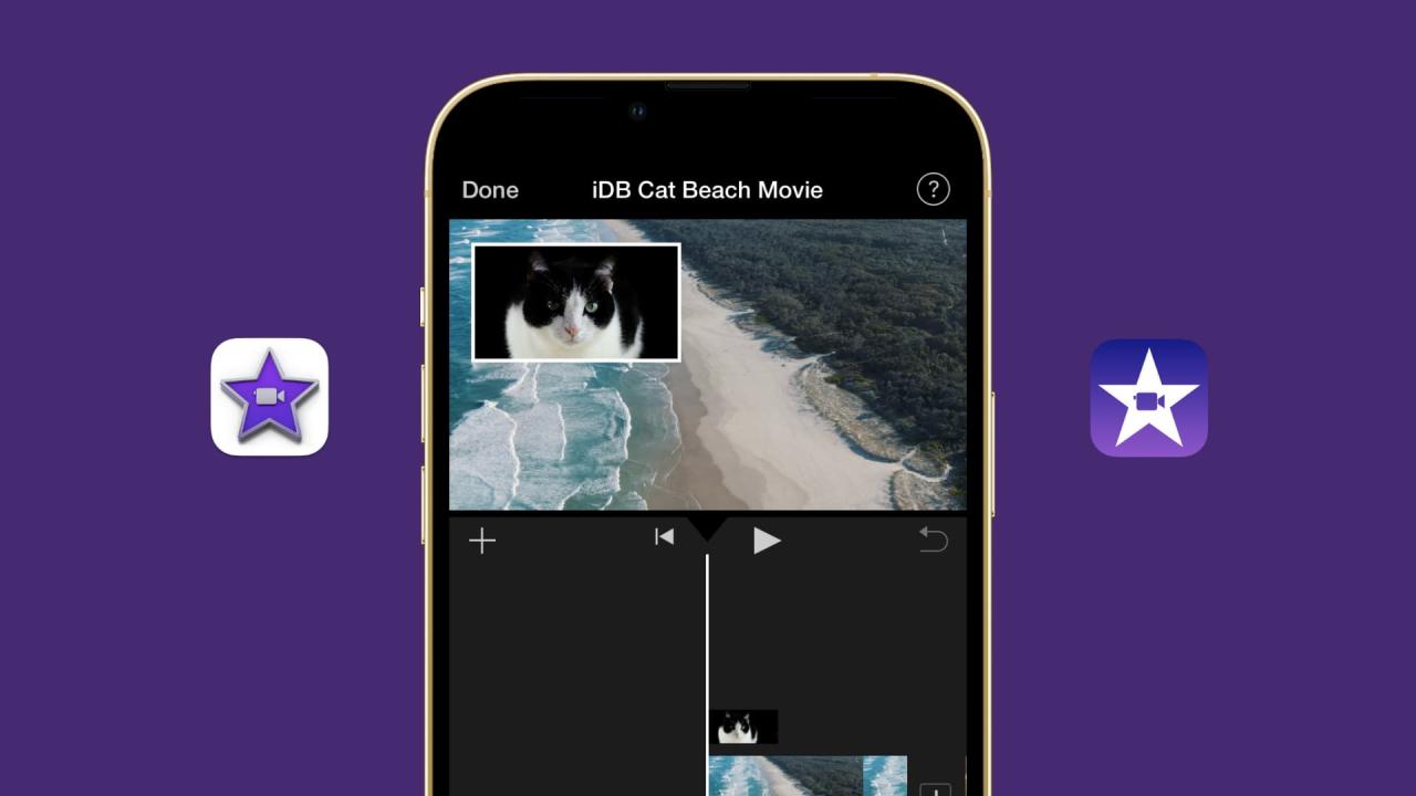 Cómo crear un video de imagen en imagen en iMovie en iPhone, iPad y Mac | Apple