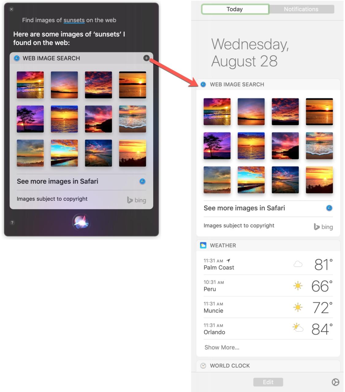 Guardar resultados de Siri Mac