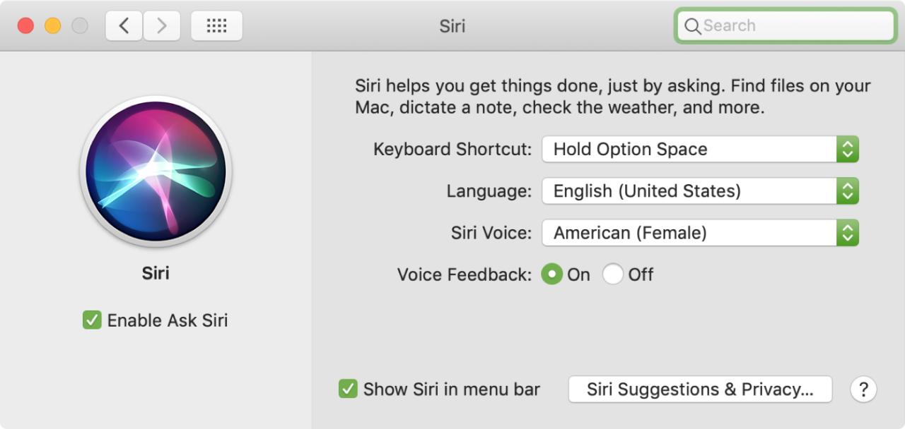 Preferencias de Siri Mac
