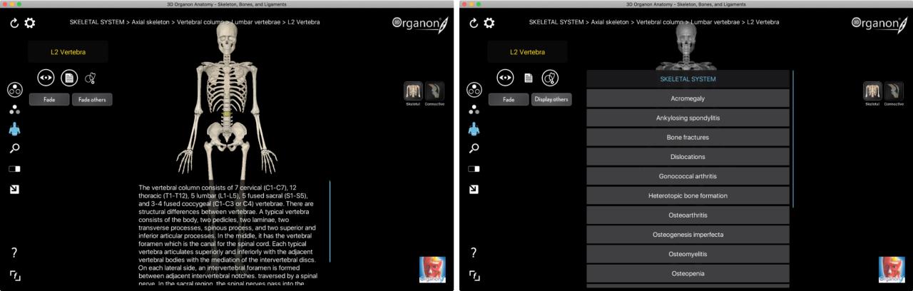Aplicación 3D Organon Anatomy para Mac