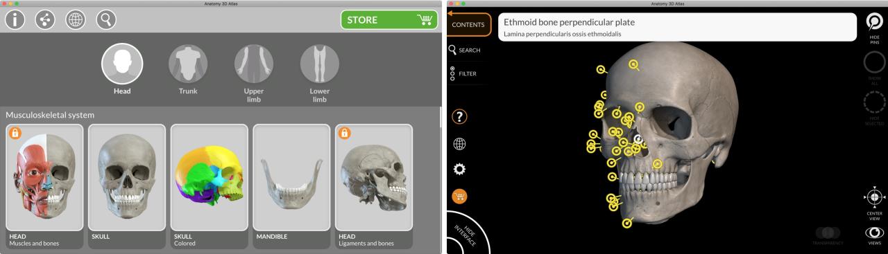 Anatomía 3D Atlas Aplicación para Mac