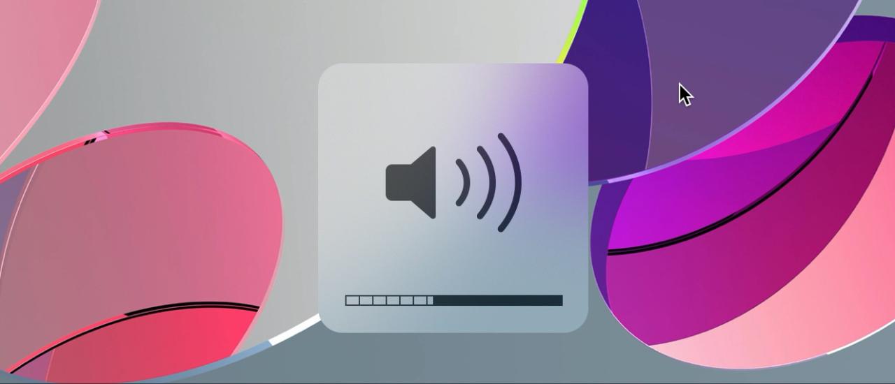 Cambiar el volumen en pequeños incrementos Mac