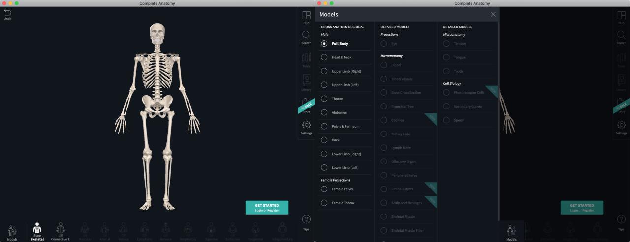 Completa la aplicación Anatomy 21 para Mac
