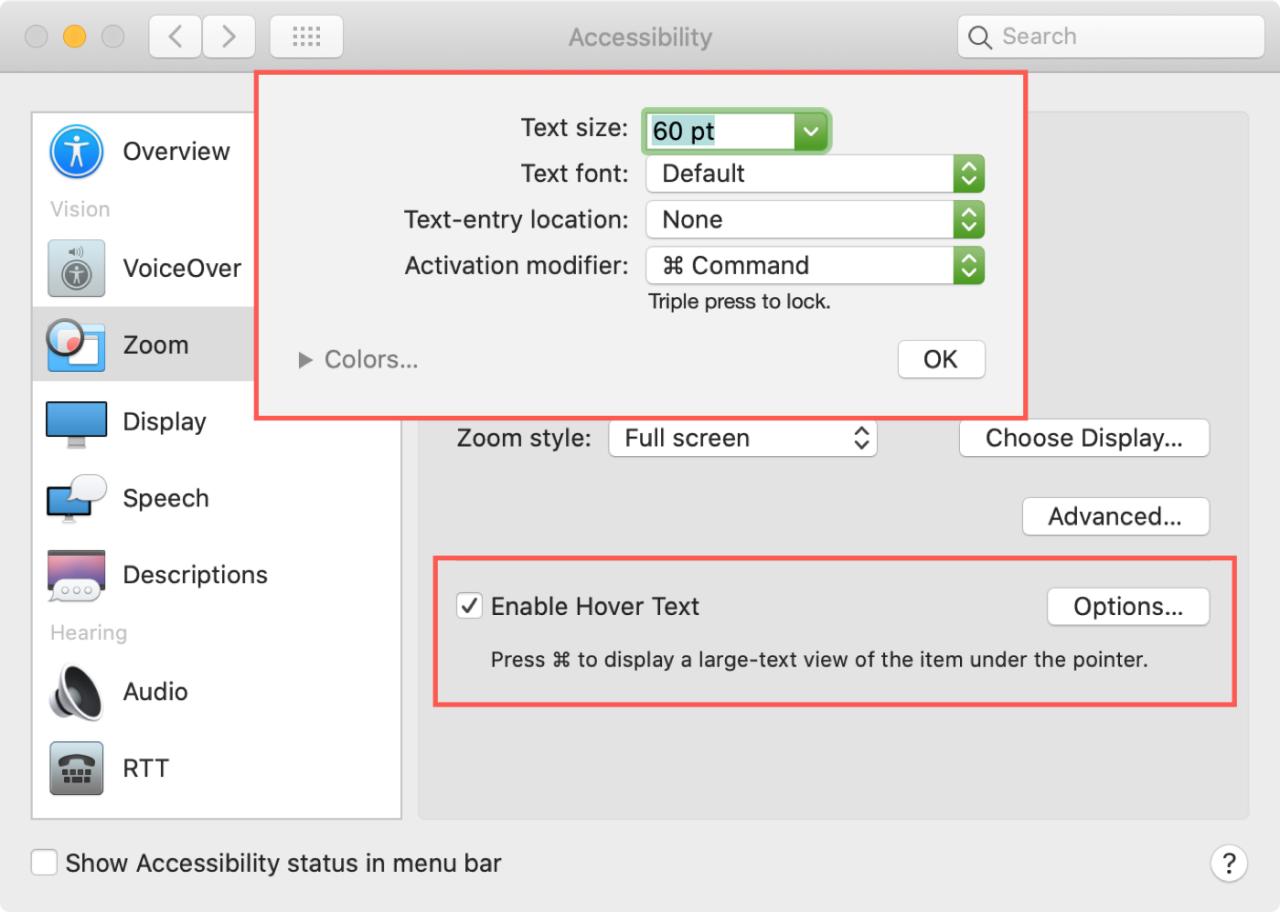 Mac Accessibility Enable Hover Text Options