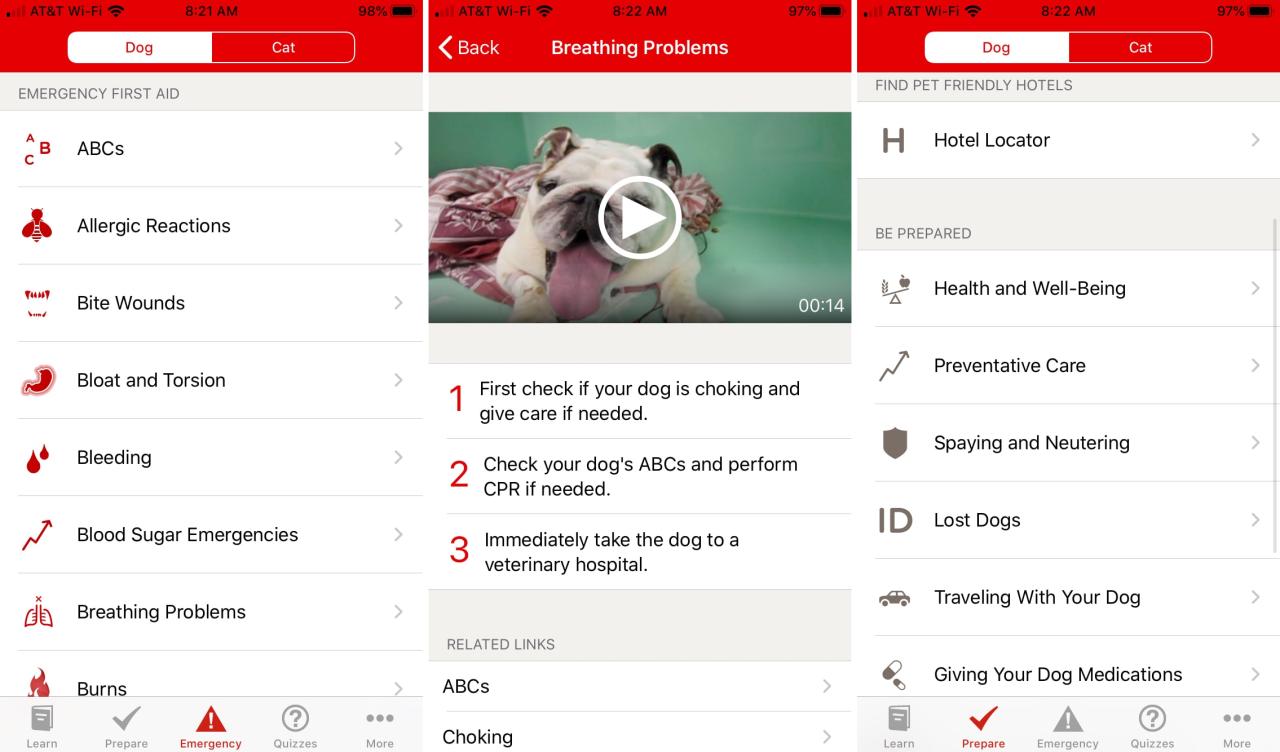 Pet First Aid app on iPhone