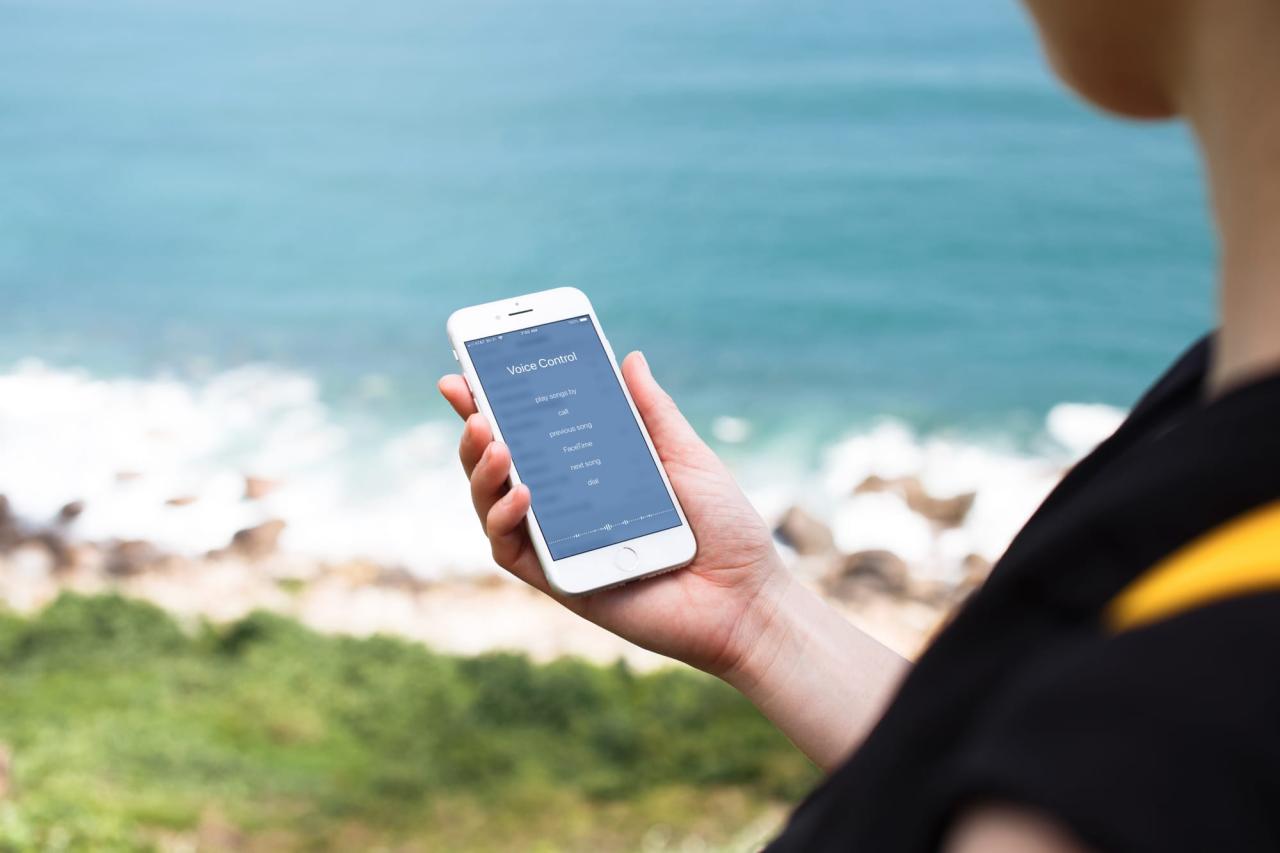 Usar control de voz iPhone