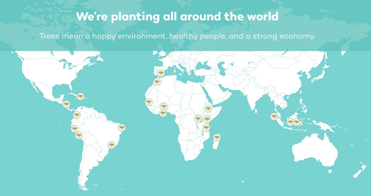 Ecosia Cómo funciona Mapa