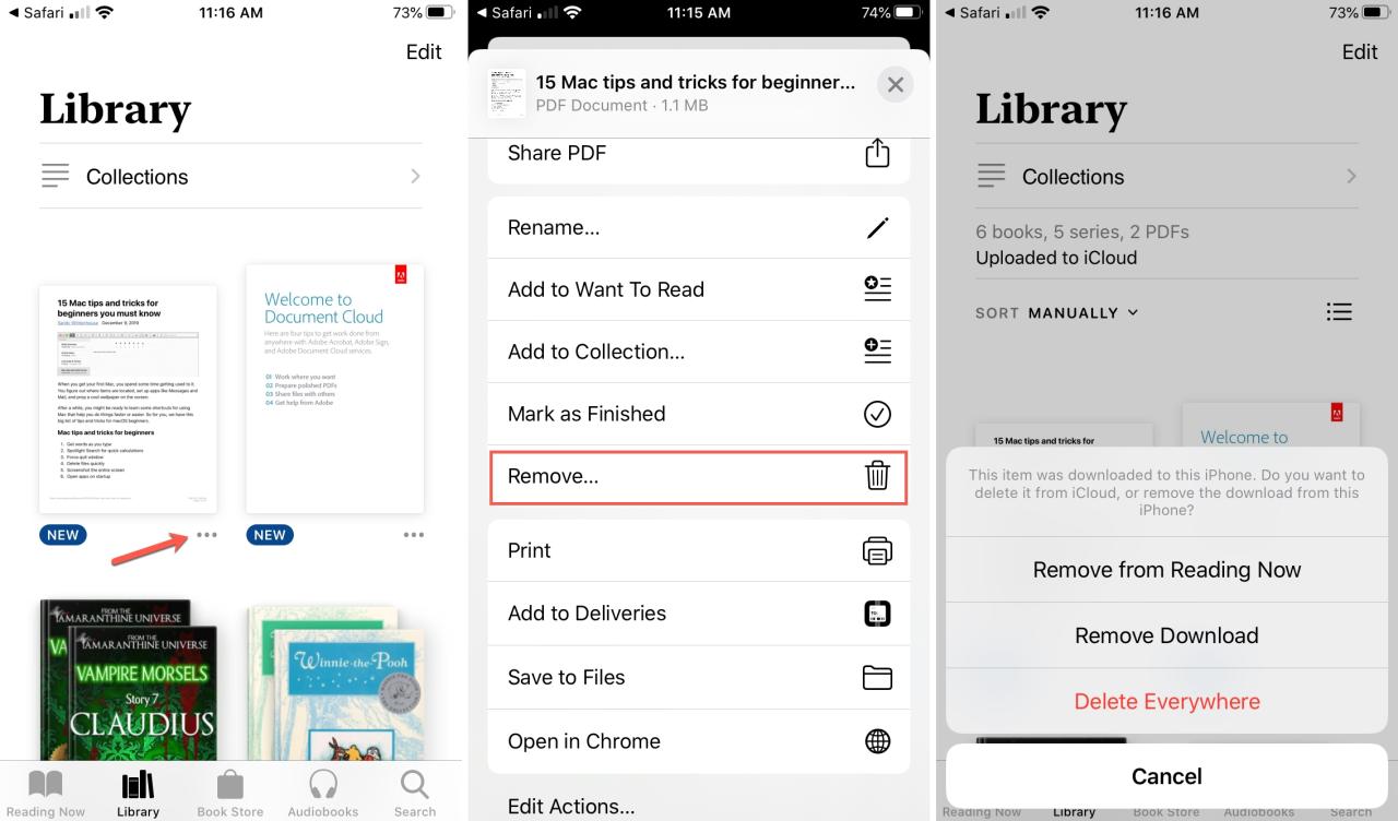 Eliminar PDF de Libros iPhone