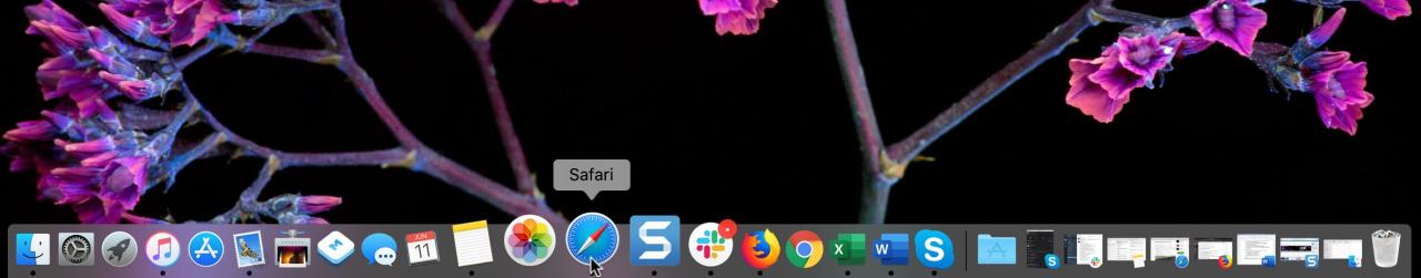 Safari en el muelle Mac ampliado