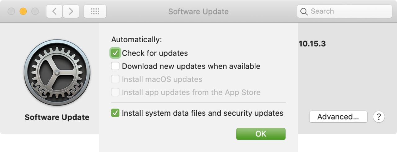 Actualización de software Buscar actualizaciones solo Mac