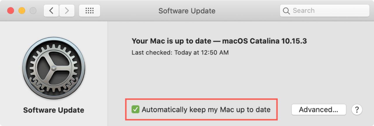 Actualización de software Mantenga la Mac actualizada